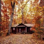 A quaint log cabin nestled in a vibrant forest during autumn, with colorful foliage and serene rural setting.