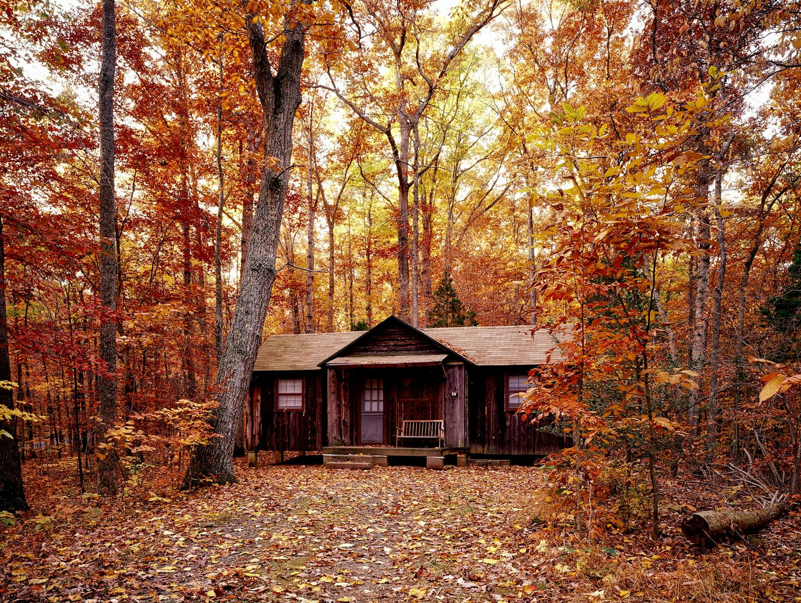 A quaint log cabin nestled in a vibrant forest during autumn, with colorful foliage and serene rural setting.